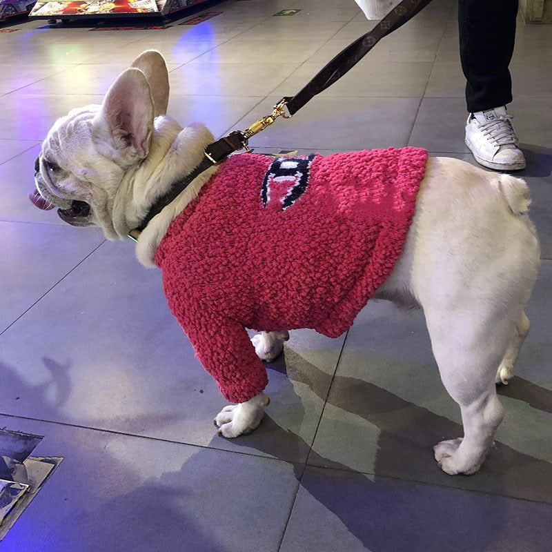 Chanel Dog Jumper, Sweater, Sweatshirt, CC by Furrfetch